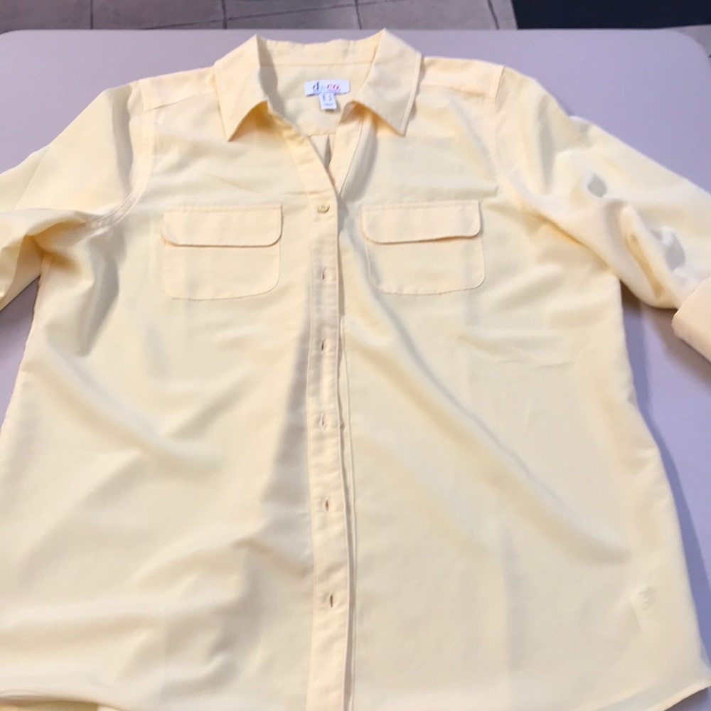 D & Co  button up blouse NWOT